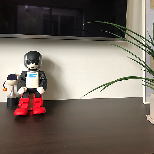 JJさんの実例写真
