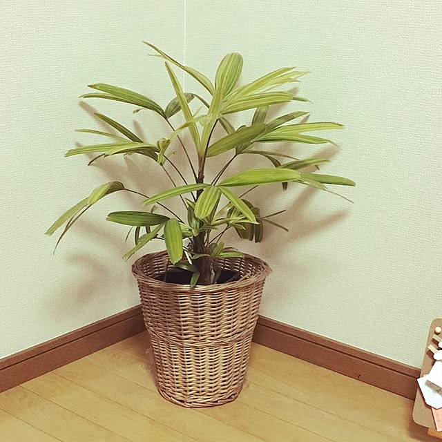 sa1815さんの実例写真