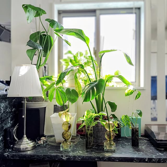 MOMOMAMAさんの実例写真