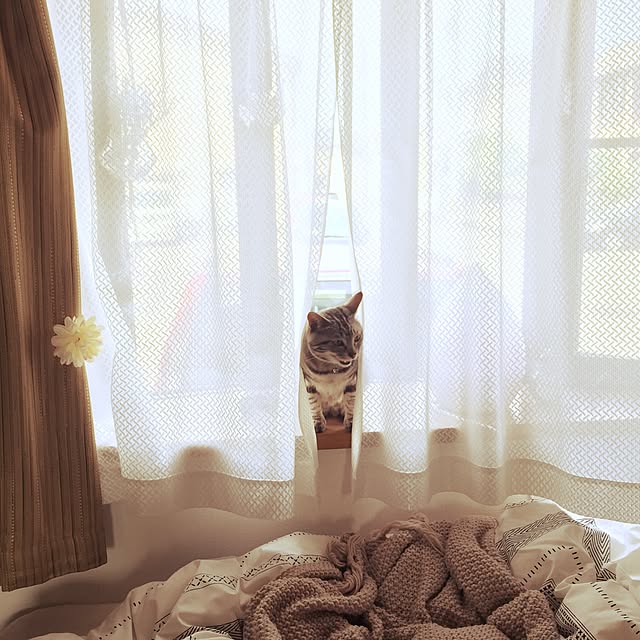 yukkki0610さんの実例写真