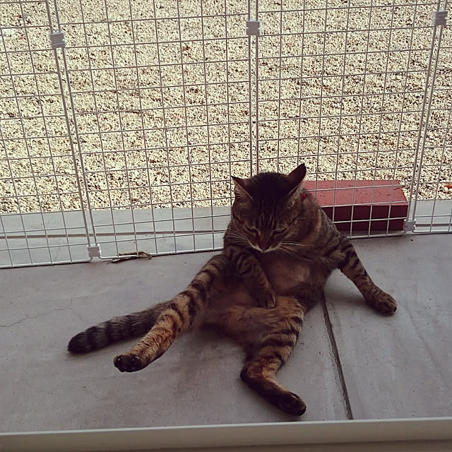 lilyさんの実例写真