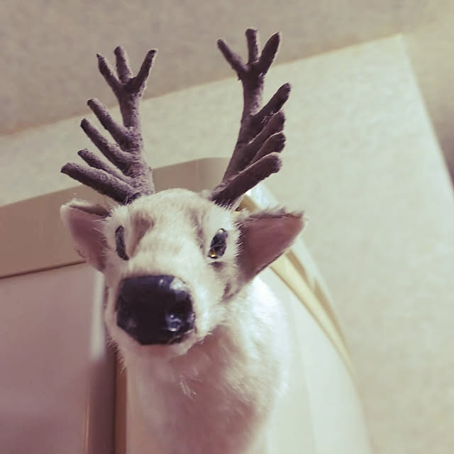 karenさんの実例写真