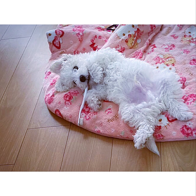 municoさんの実例写真
