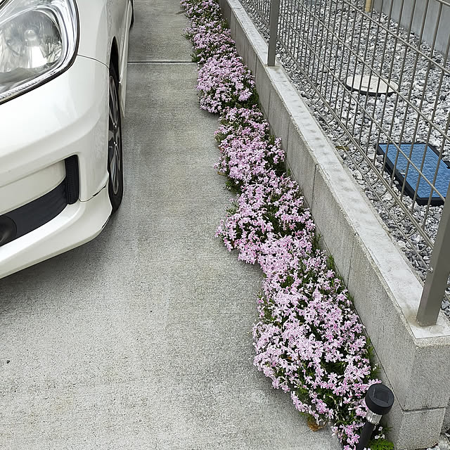chiiさんの実例写真