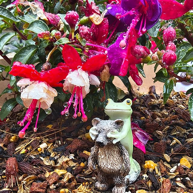 Rubiconさんの実例写真