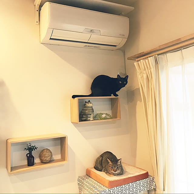 yuki0511さんの実例写真