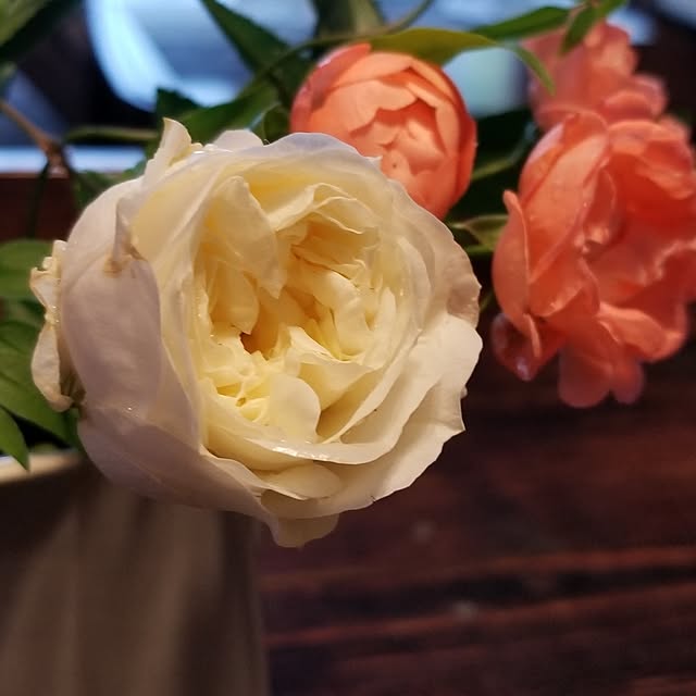 midoriさんの実例写真