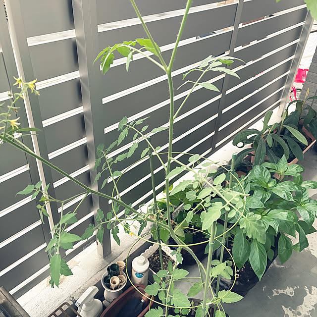 saorinさんの部屋