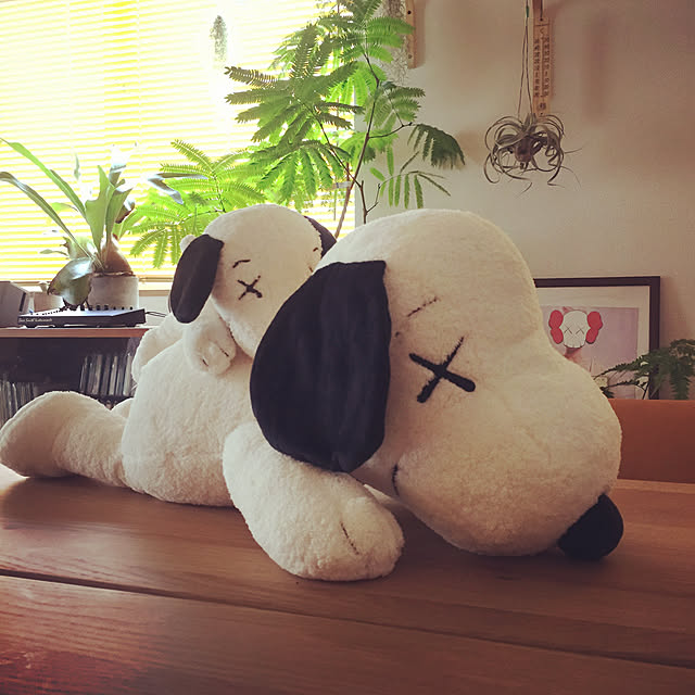 poさんの実例写真
