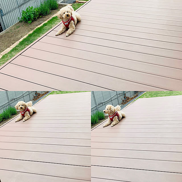 moooさんの実例写真