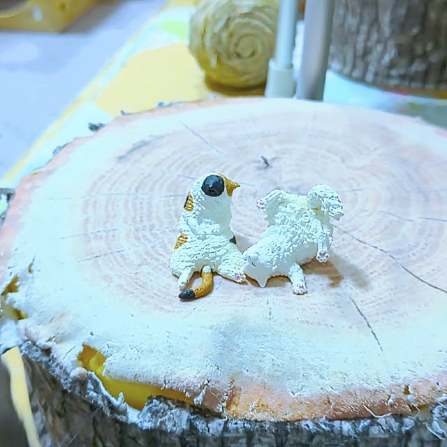 mariaさんの部屋