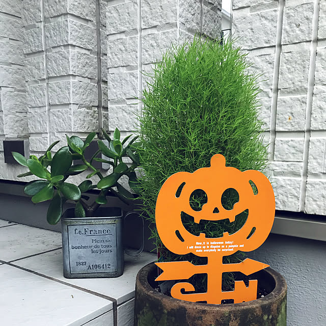 Satokoさんの実例写真
