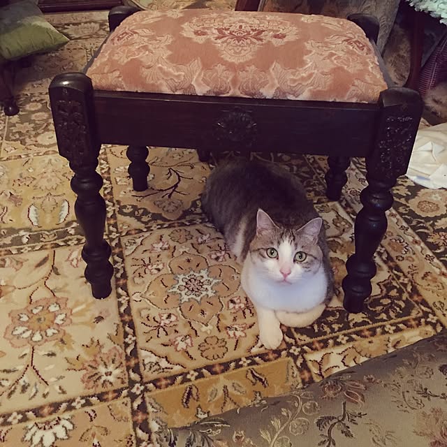 emmyyさんの実例写真