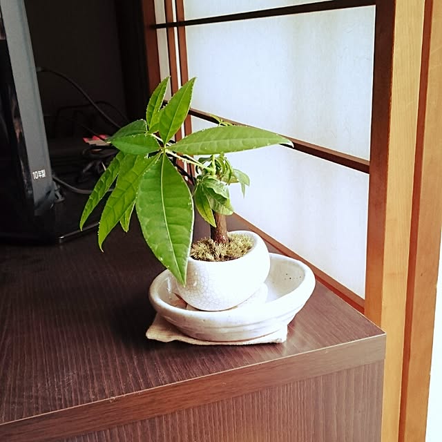 PEKOさんの実例写真
