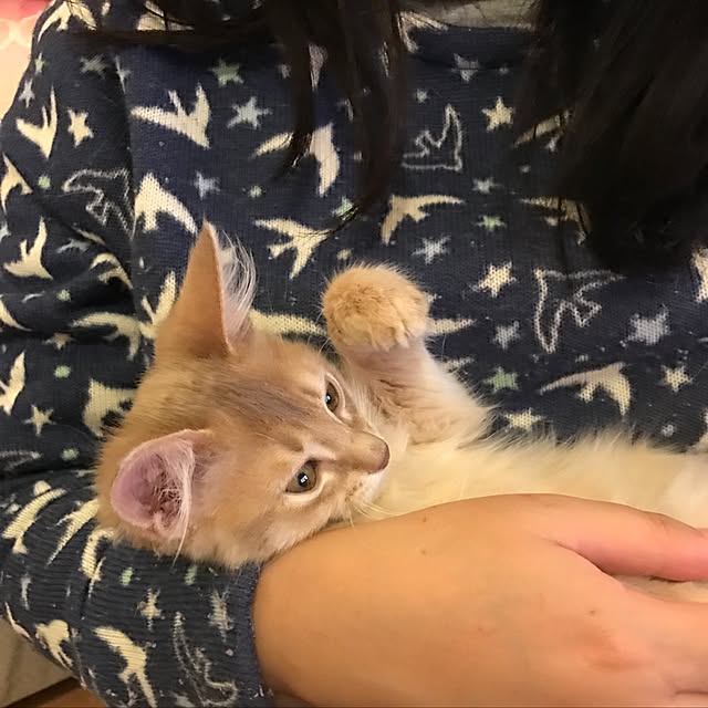 mi-mi-373さんの実例写真