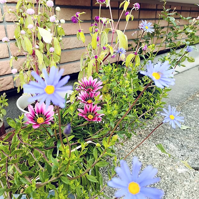 kiraさんの部屋