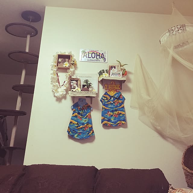 Mikuさんの実例写真