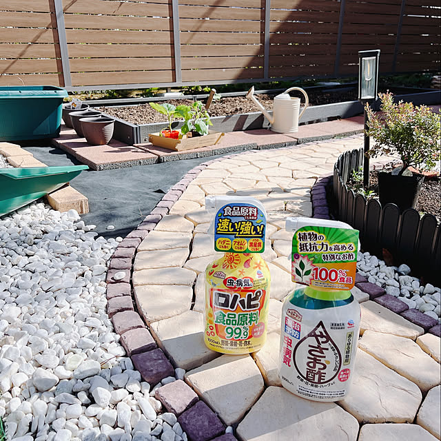 chanduさんの実例写真