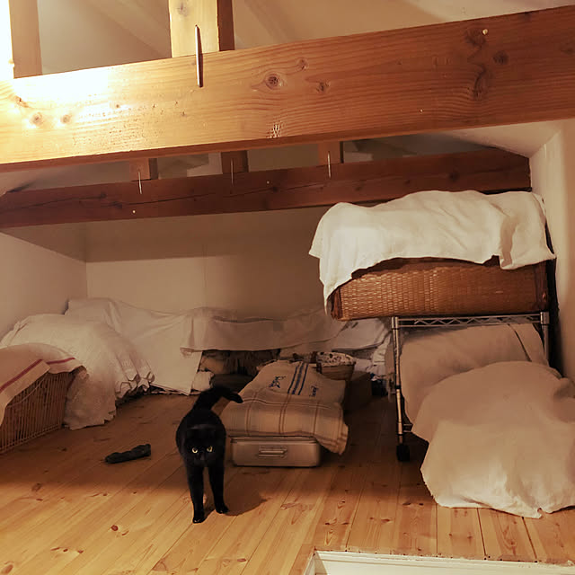 neko-2.2.2runmuさんの実例写真