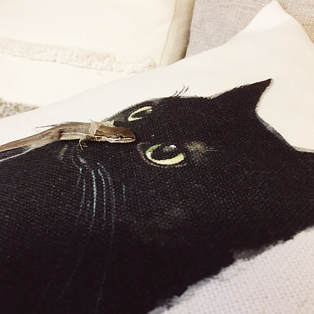 oasisさんの実例写真