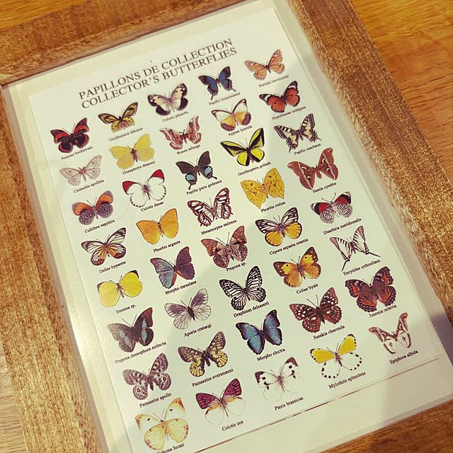 eyes.homeさんの実例写真