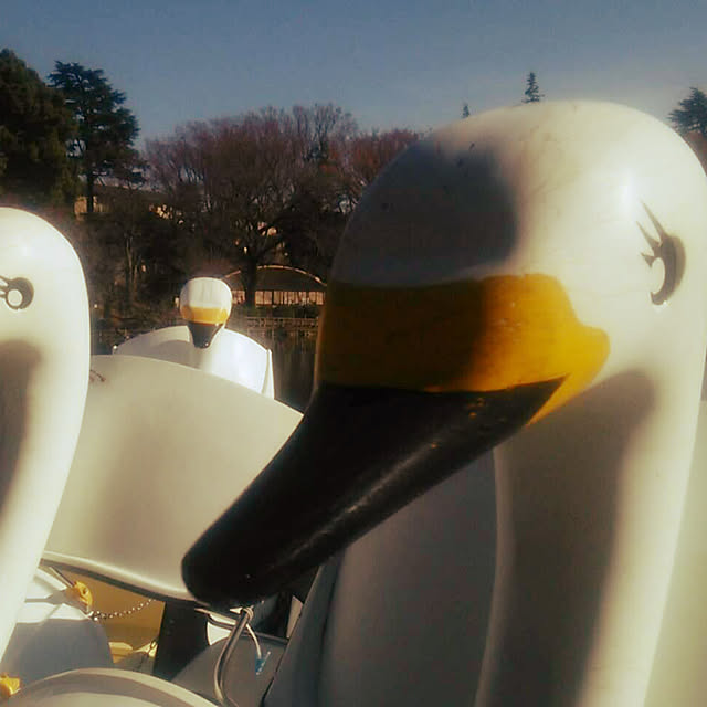 tomonon0812さんの実例写真