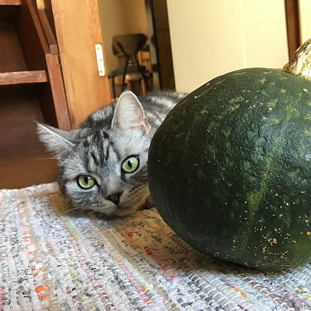 mikannecoさんの実例写真