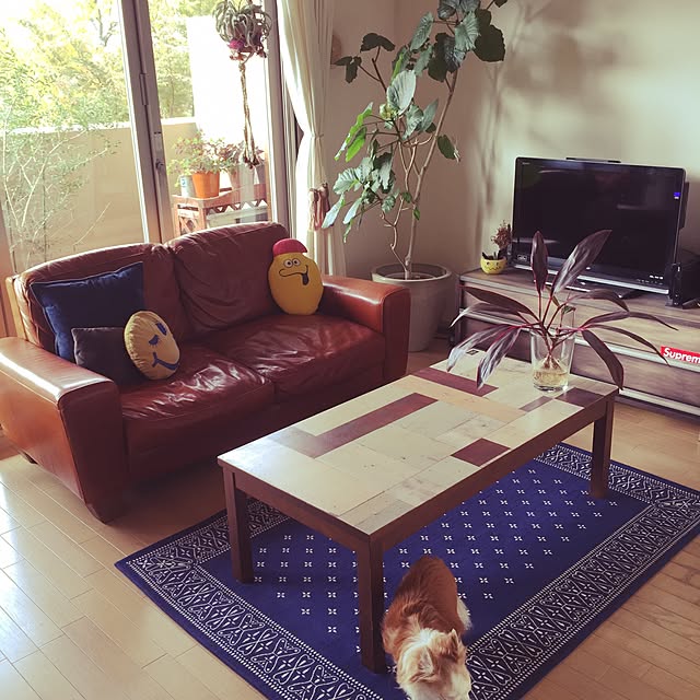 ryps1201pankoさんの実例写真