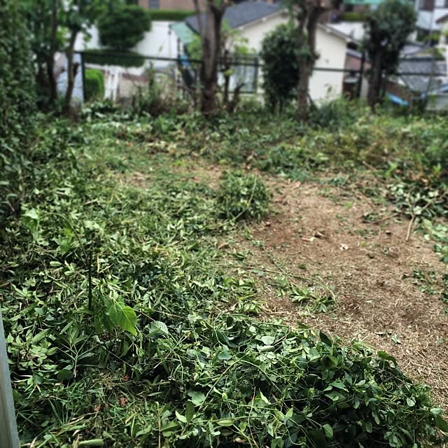 happy_bridgeさんの実例写真