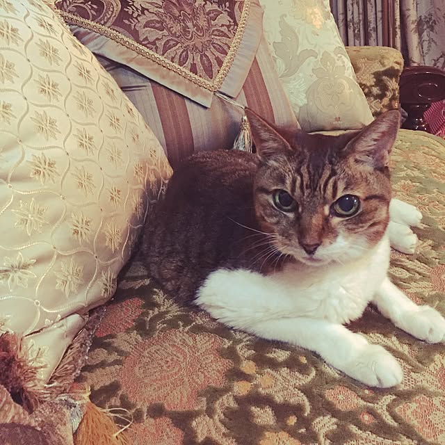 emmyyさんの実例写真