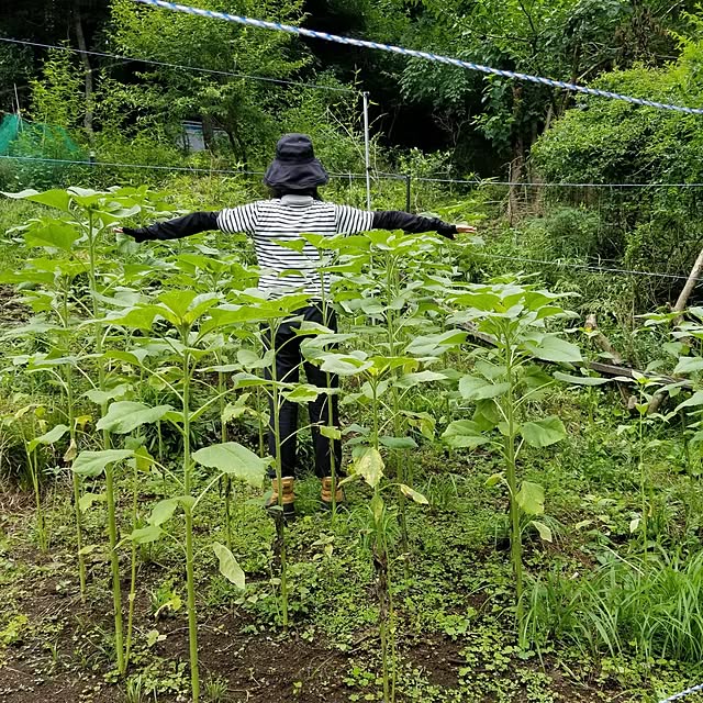 midoriさんの部屋