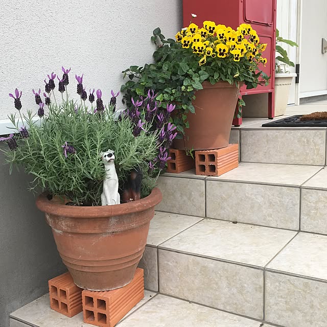 pecopecoさんの実例写真