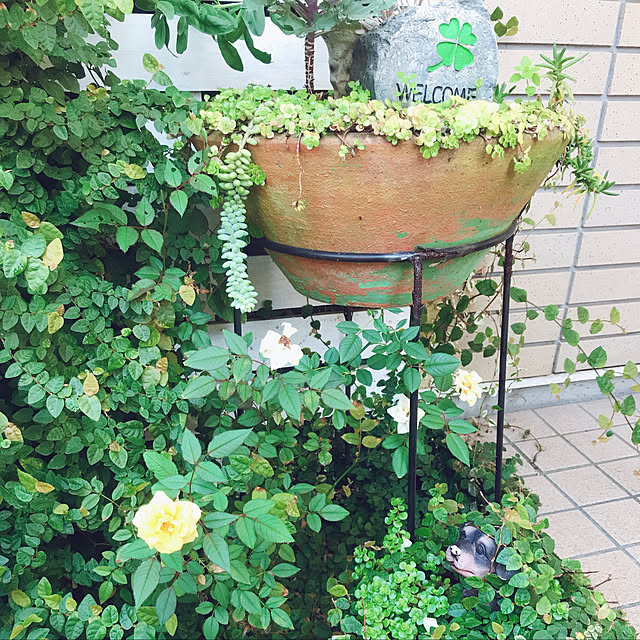 miya.ayaさんの実例写真