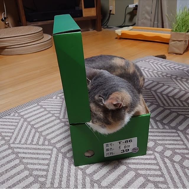 fukuさんの部屋