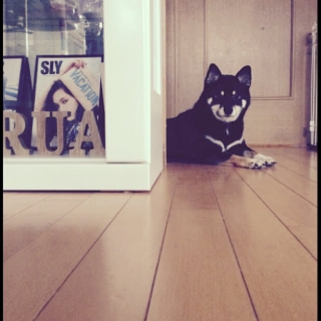 etet50さんの実例写真