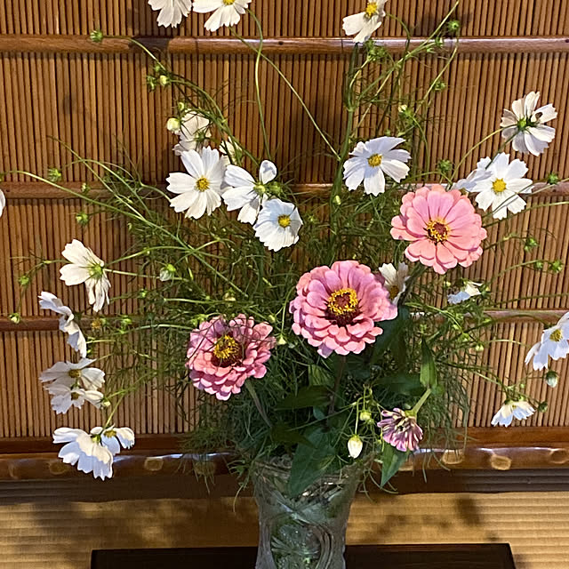 moriさんの実例写真