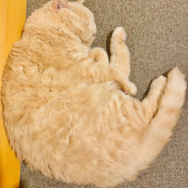 naokoさんの部屋