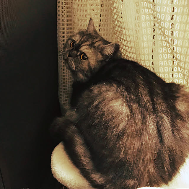 Marinさんの実例写真