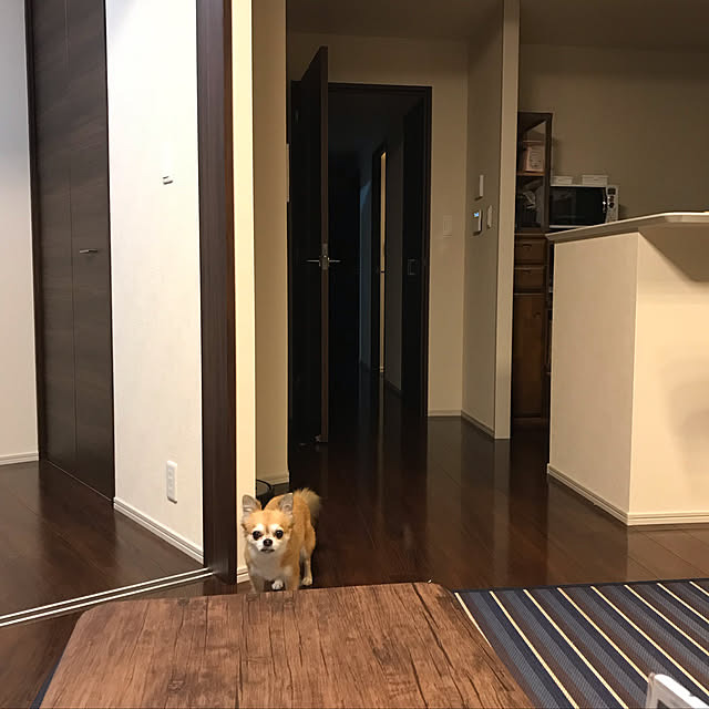 ai_qoo_hideさんの実例写真