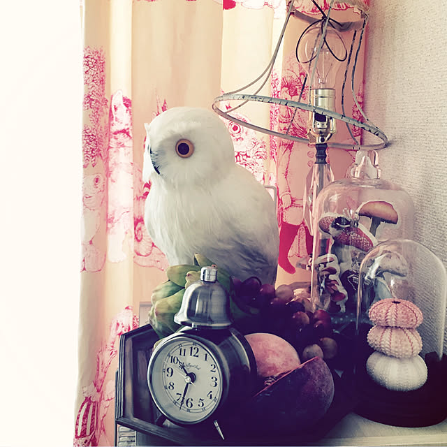 ayasmaさんの実例写真
