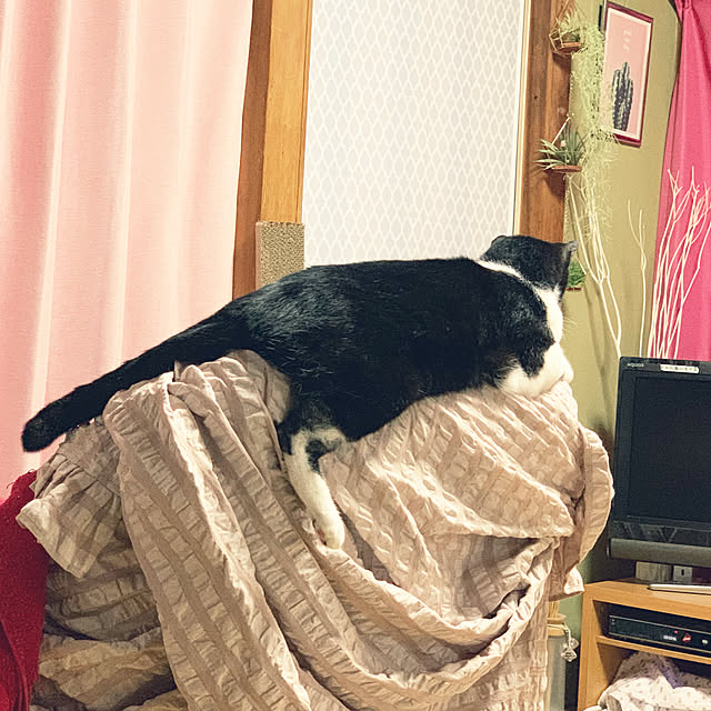 brbrnknkさんの実例写真