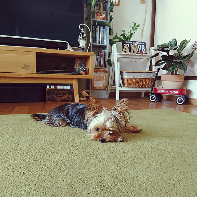 akiさんの部屋
