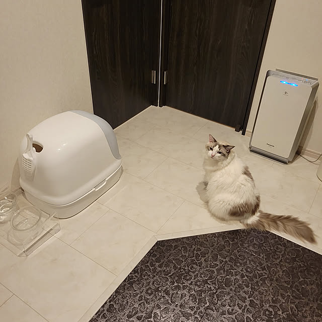miruさんの実例写真