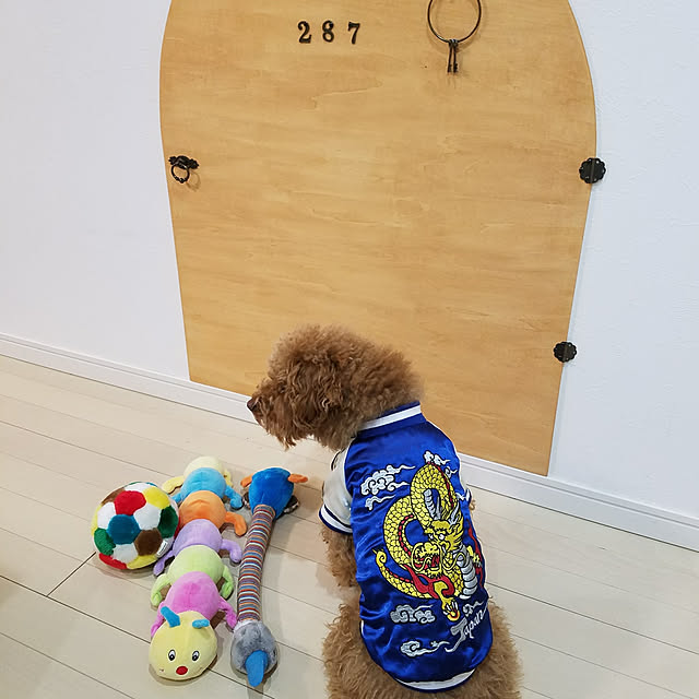 kikoさんの実例写真