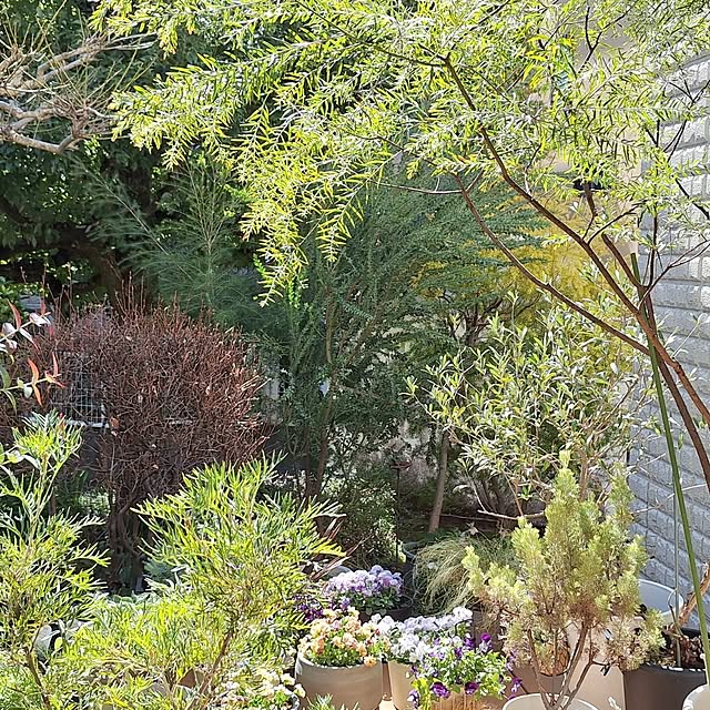 souさんの実例写真