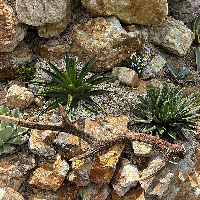 bonber0212さんの実例写真