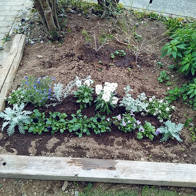 m.mさんの実例写真