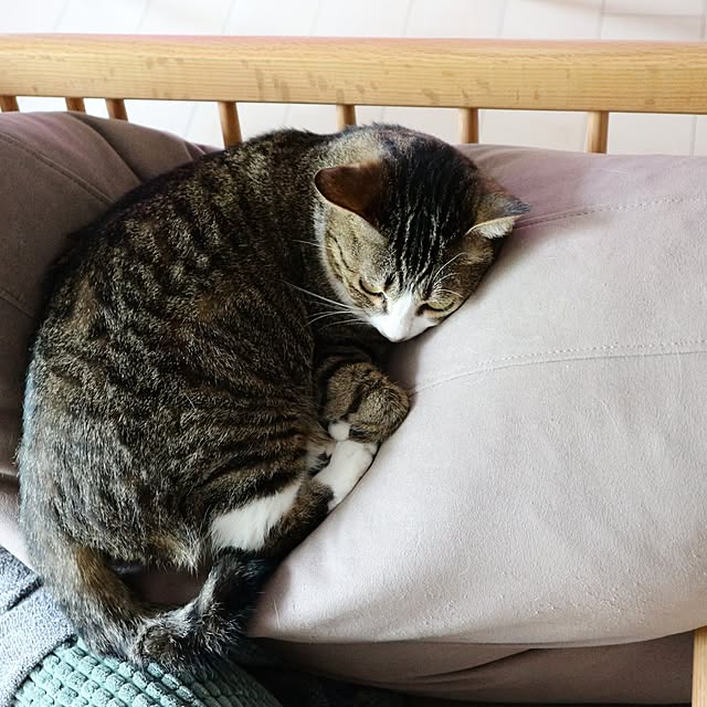 hanacocoさんの部屋