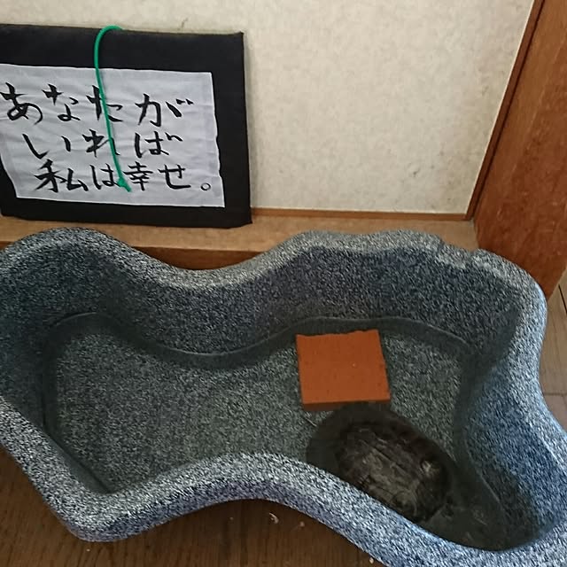 yukkyさんの実例写真