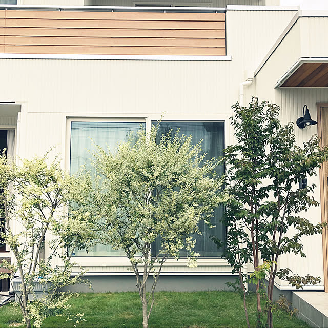tomorrowさんの実例写真